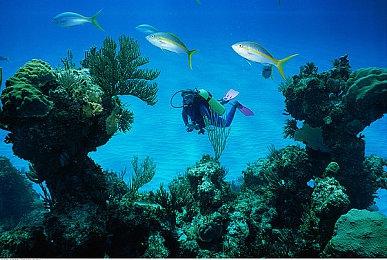 Epic Games发行策略总监Galyonkin宣布辞职